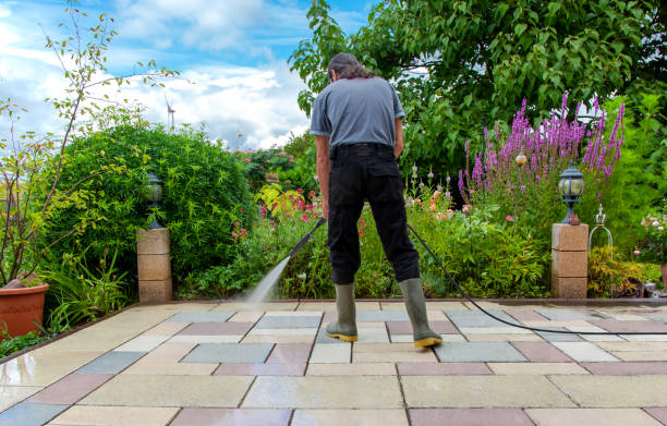 Trusted North Utica, IL Pressure Washing Experts